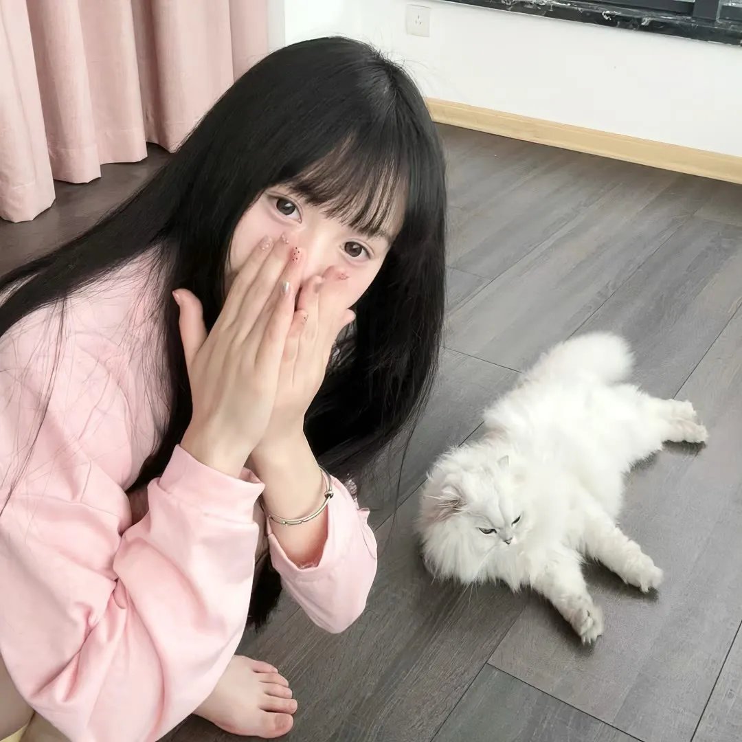 新猛龙过江